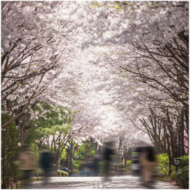 바로가기